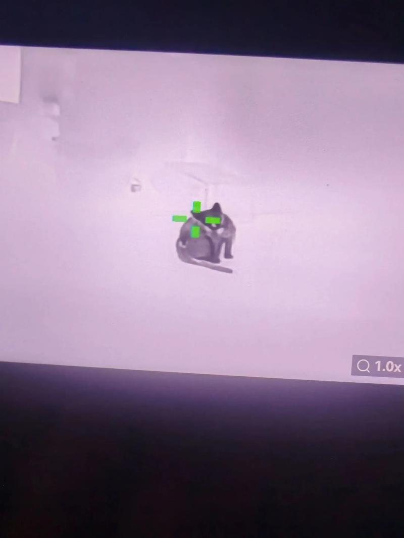 牛奶加水可以喝吗